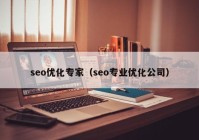 seo优化专家（seo专业优化公司）