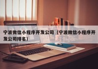 宁波微信小程序开发公司（宁波微信小程序开发公司排名）