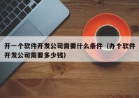 开一个软件开发公司需要什么条件（办个软件开发公司需要多少钱）