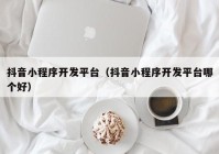 抖音小程序开发平台（抖音小程序开发平台哪个好）
